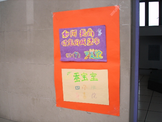 24.JPG 24.JPG