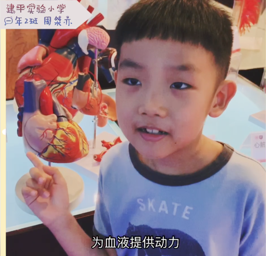 截屏2020-03-28 上午10.59.18.png
